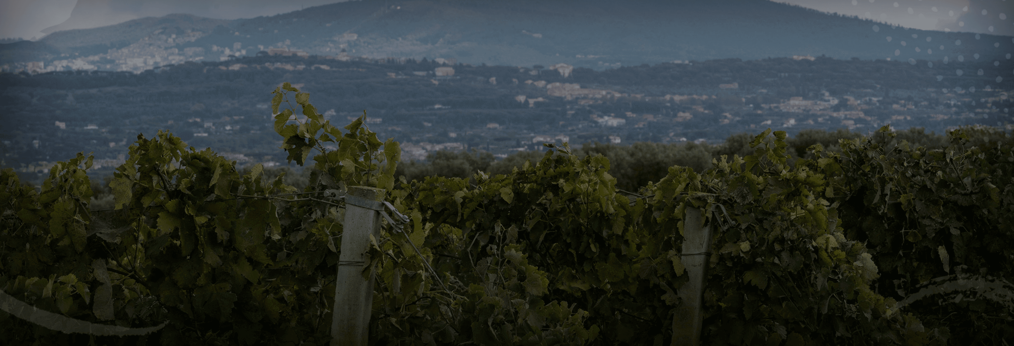 Domaine Gotto d'Oro - Paysage